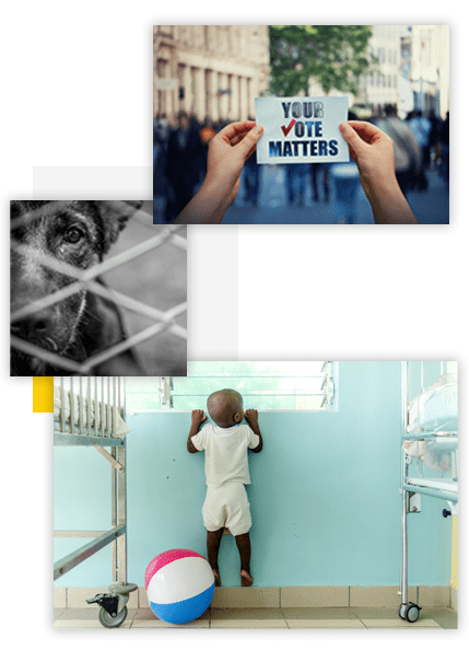 Collage of social impact campaign images: rescue dog at animal shelter, person holding a campaign sign at a voting rights protest, small child reaching to peek out of a hospital window in Haiti